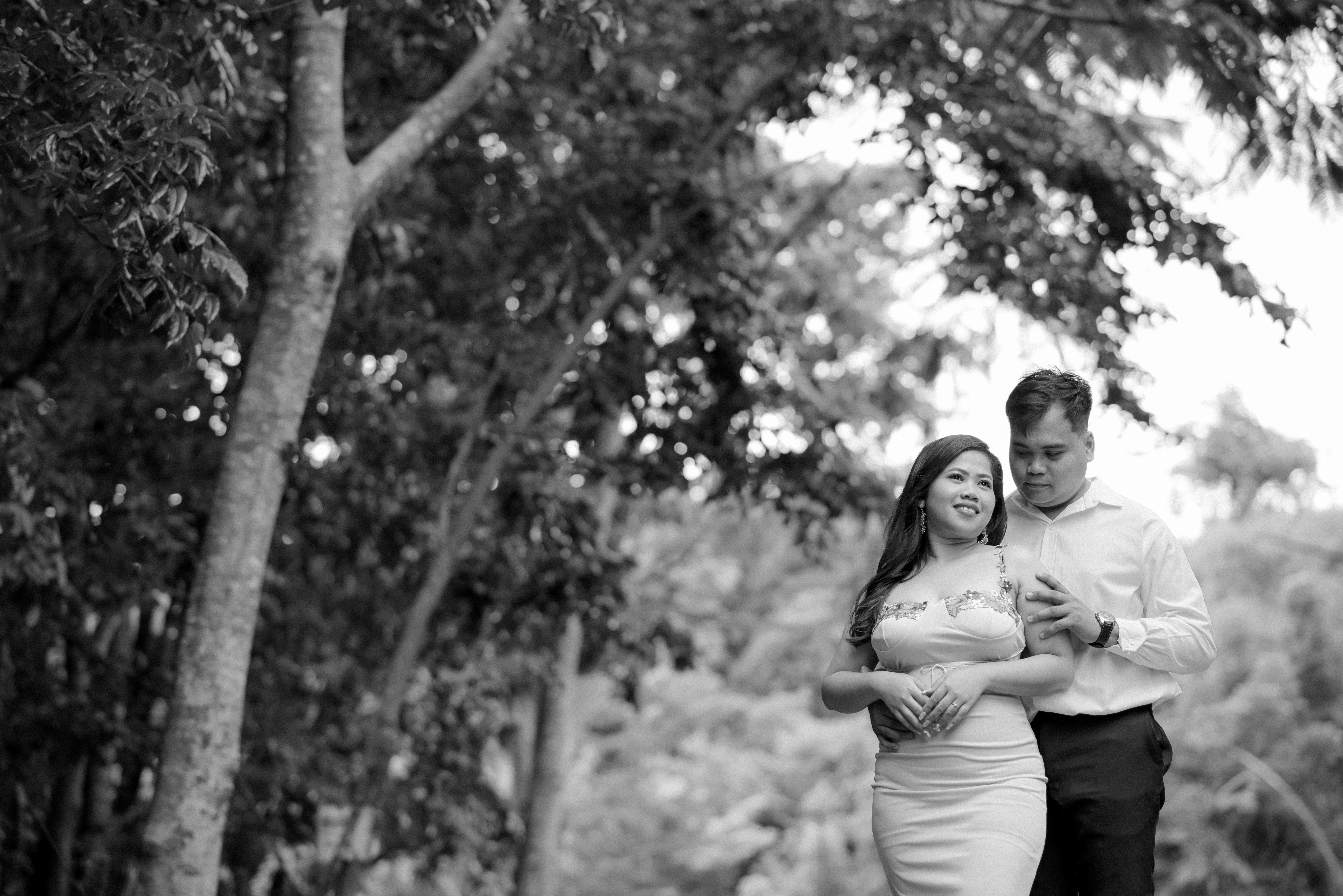 Francis & Princess Pre-nup - Artistic Vision